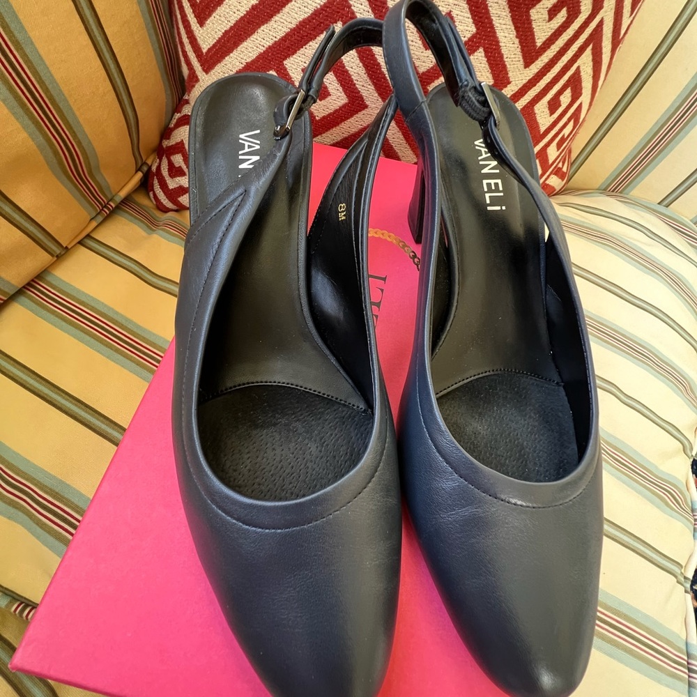 Navy Vaneli Shoes
